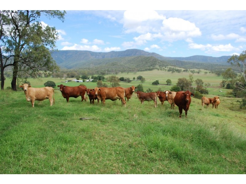 Townson QLD 4341