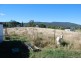 Laidley Creek West QLD 4341