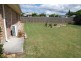 Laidley QLD 4341