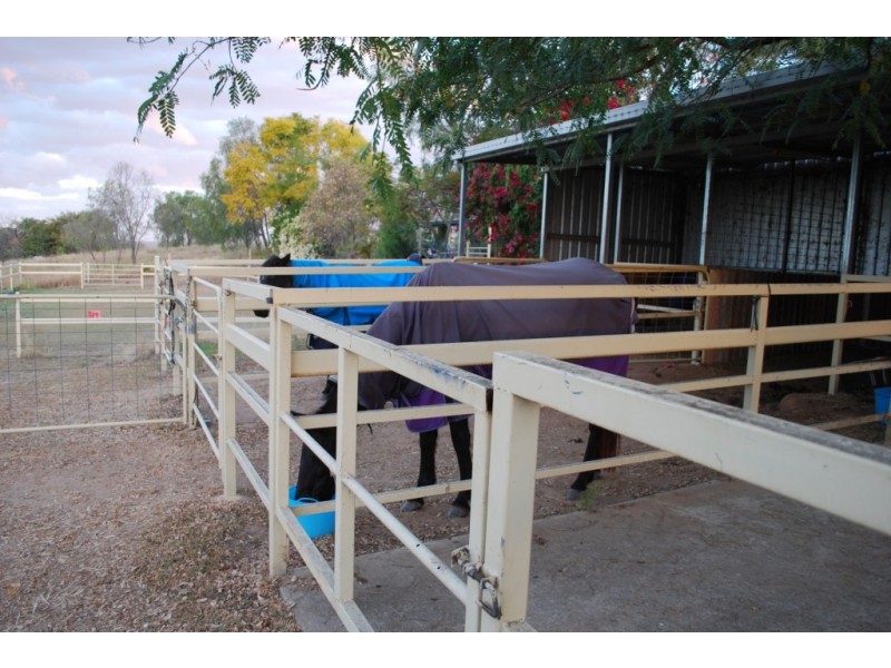 7 Schadwell Rd, Blenheim QLD 4341