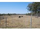 Spring Creek QLD 4343