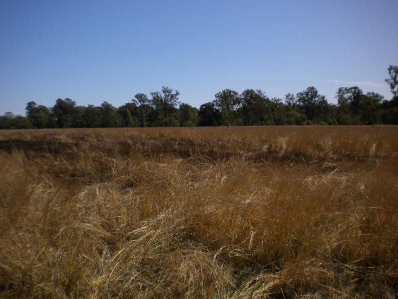 Calvert QLD 4340