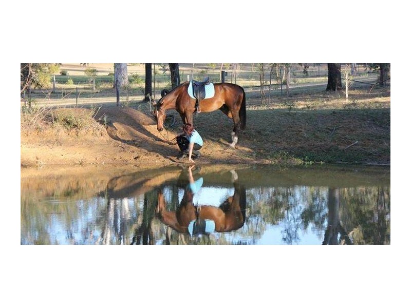 Laidley Heights QLD 4341