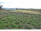 Mount Mort QLD 4340