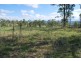 Mount Mort QLD 4340
