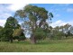 Blenheim QLD 4341