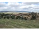 Laidley Creek West QLD 4341