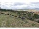 Laidley Creek West QLD 4341