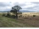 Laidley Creek West QLD 4341