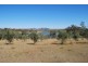 Laidley Heights QLD 4341