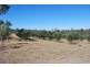 Laidley Heights QLD 4341