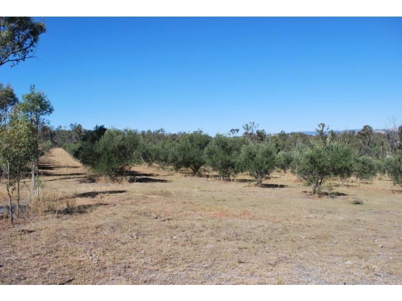 Laidley Heights QLD 4341