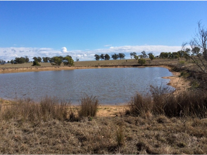 Plainland QLD 4341