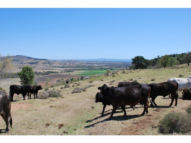 Blenheim QLD 4341