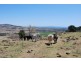Blenheim QLD 4341