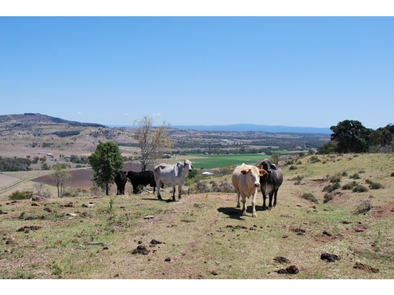 Blenheim QLD 4341