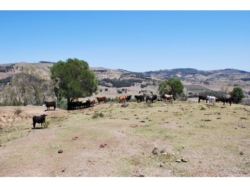 Blenheim QLD 4341