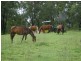 Summerholm QLD 4341