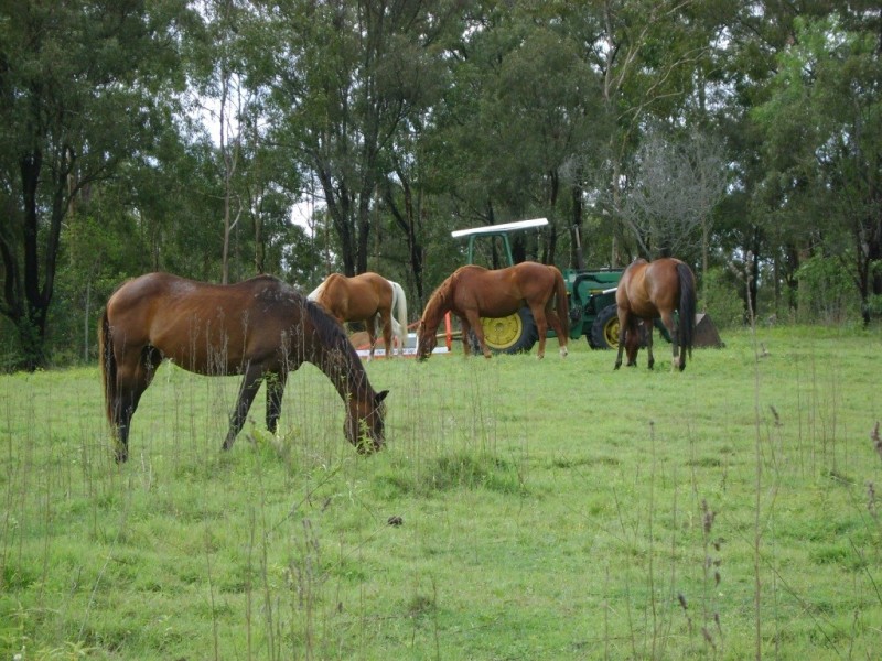 Summerholm QLD 4341