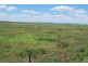 1 Mischke Rd, Kentville QLD 4341
