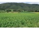 Townson QLD 4341