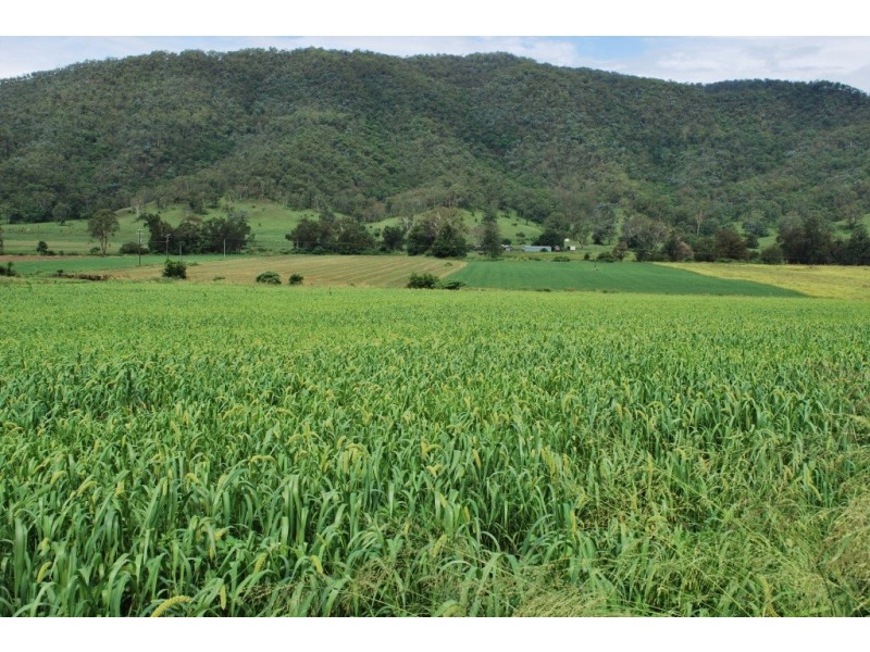 Townson QLD 4341
