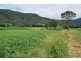 Townson QLD 4341