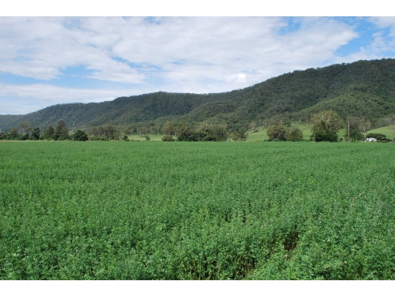 Townson QLD 4341