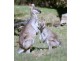 Summerholm QLD 4341