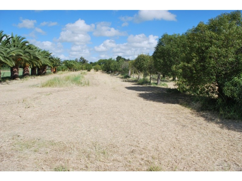 Laidley QLD 4341