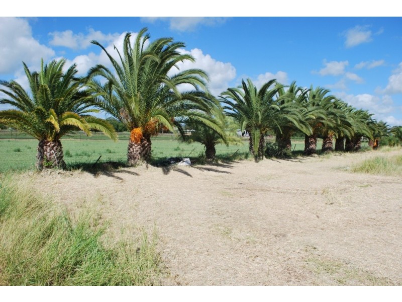 Laidley QLD 4341