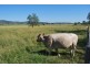 Mulgowie QLD 4341