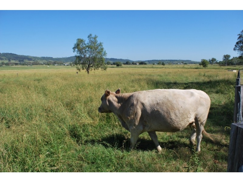 Mulgowie QLD 4341