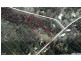 26 Range Crescent, Laidley QLD 4341