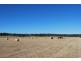 Lawes QLD 4343