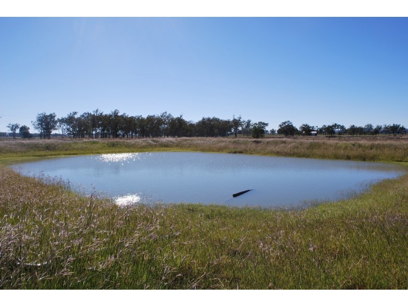 Lawes QLD 4343