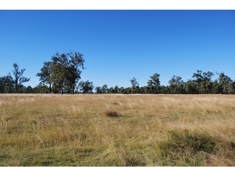 Lawes QLD 4343