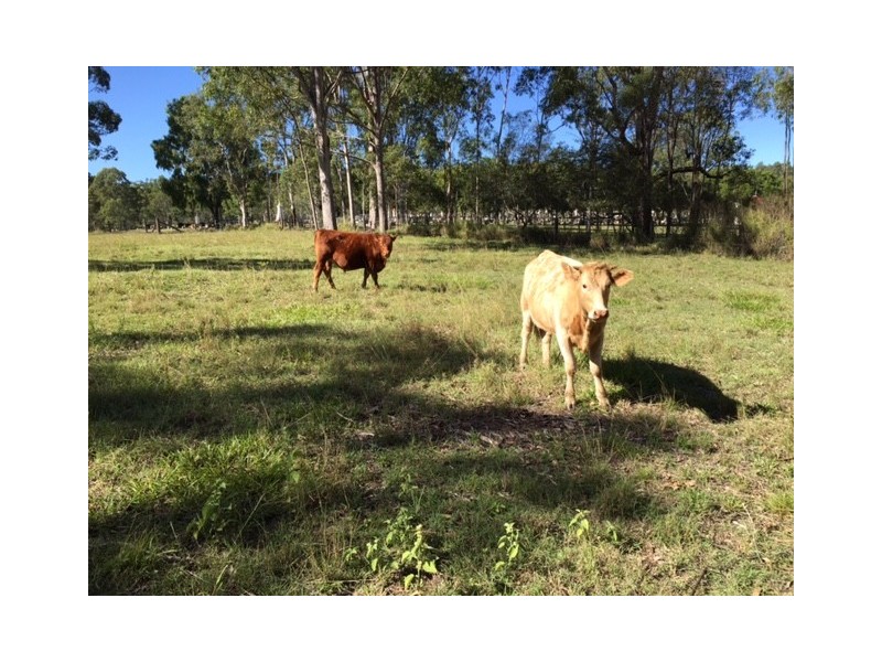 Laidley QLD 4341