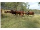 Mulgowie QLD 4341