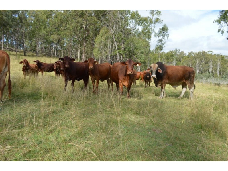 Mulgowie QLD 4341