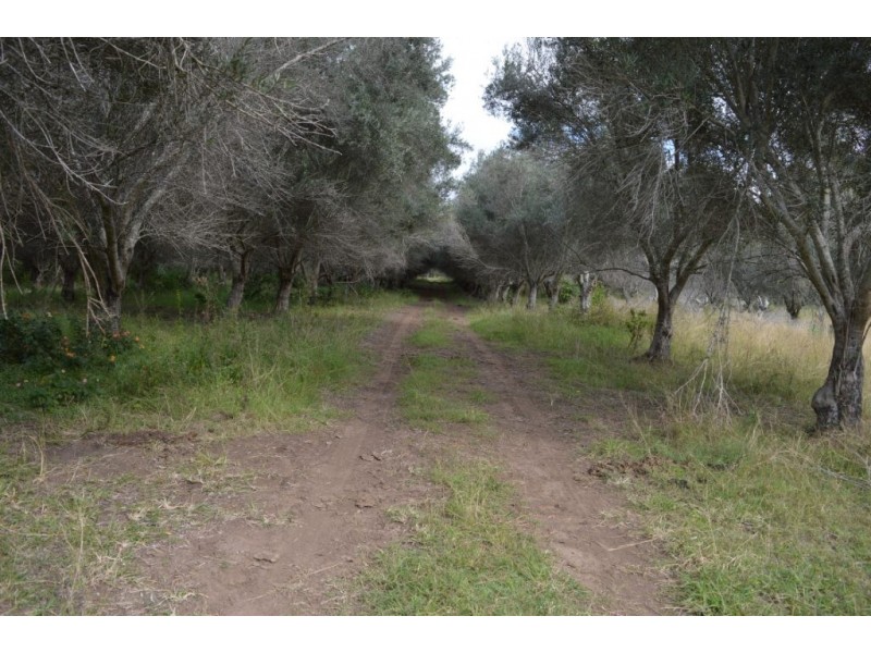 Mulgowie QLD 4341