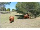 Summerholm QLD 4341