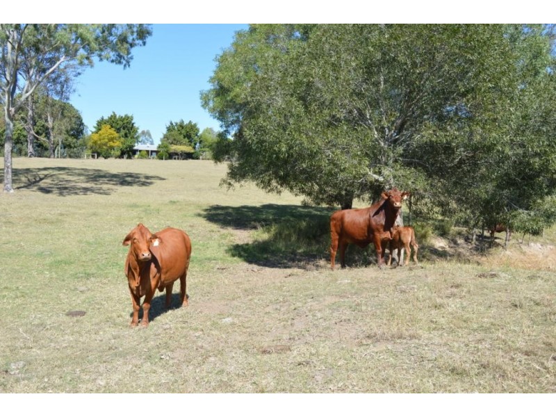 Summerholm QLD 4341