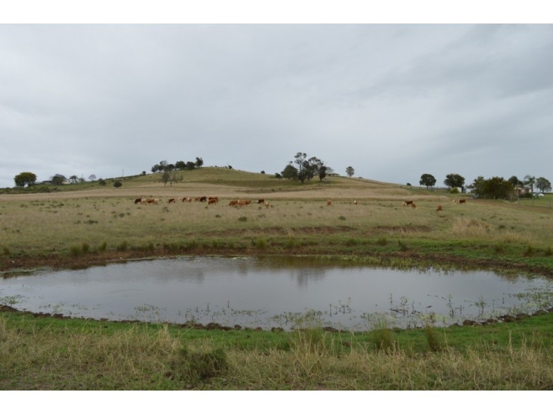 107 Zischke Road, Regency Downs QLD 4341