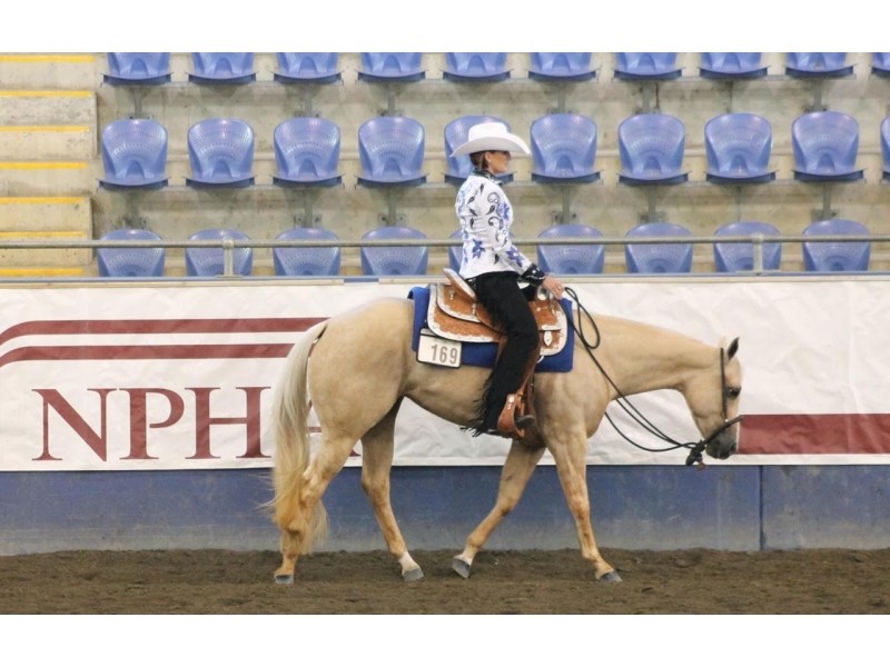 7 O’Dwyer Road, Laidley South QLD 4341