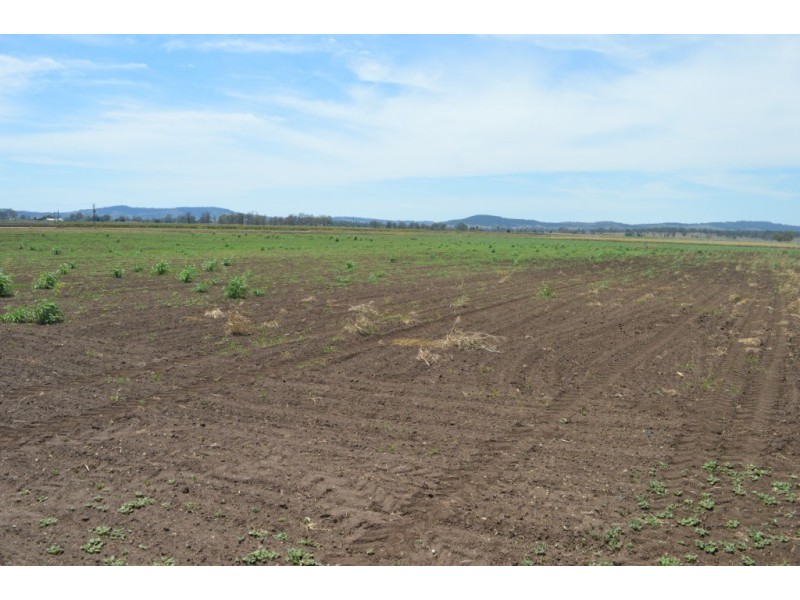 8 (Lot 31) Corcet Road, Lockrose QLD 4342