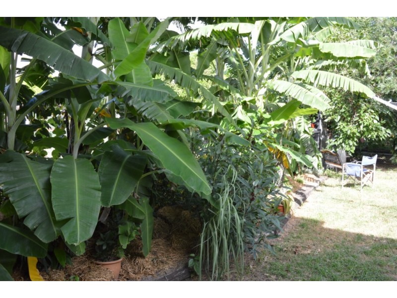 9 Patrick St, Laidley QLD 4341