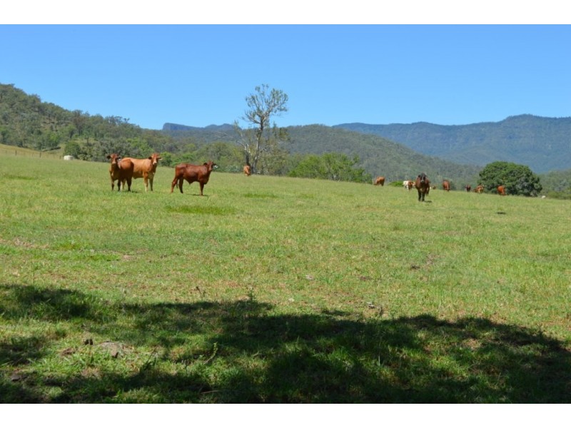 305-307 Mulgowie Road, Townson QLD 4341