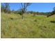 315-319 Mulgowie Road, Townson QLD 4341