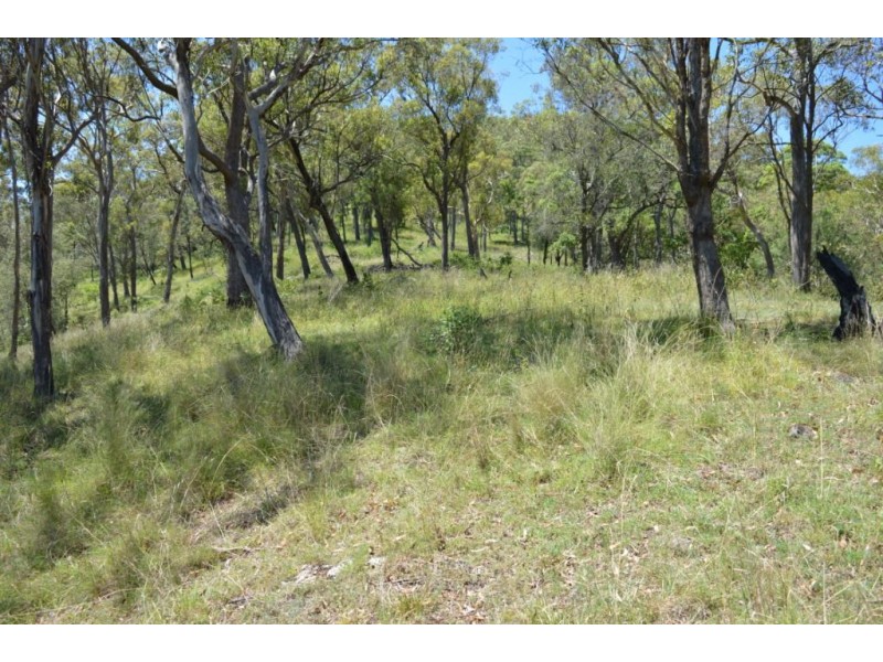 315-319 Mulgowie Road, Townson QLD 4341